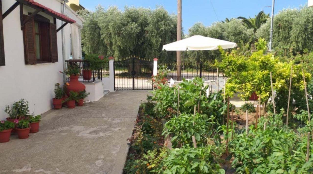 Katerina'S Cozy Home Skala Sotiros Exterior foto